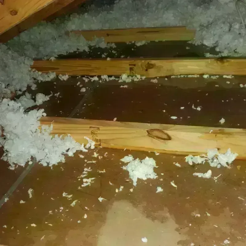 Attic Water Damage in Edwards County, IL