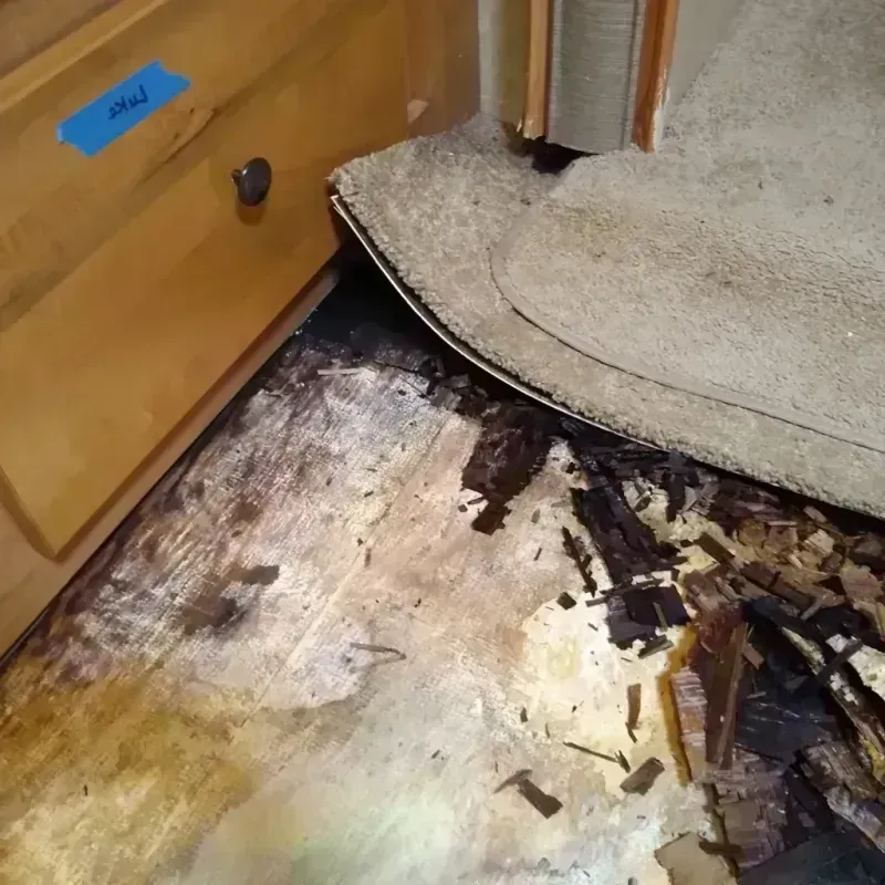 Wood Floor Water Damage in Edwards County, IL